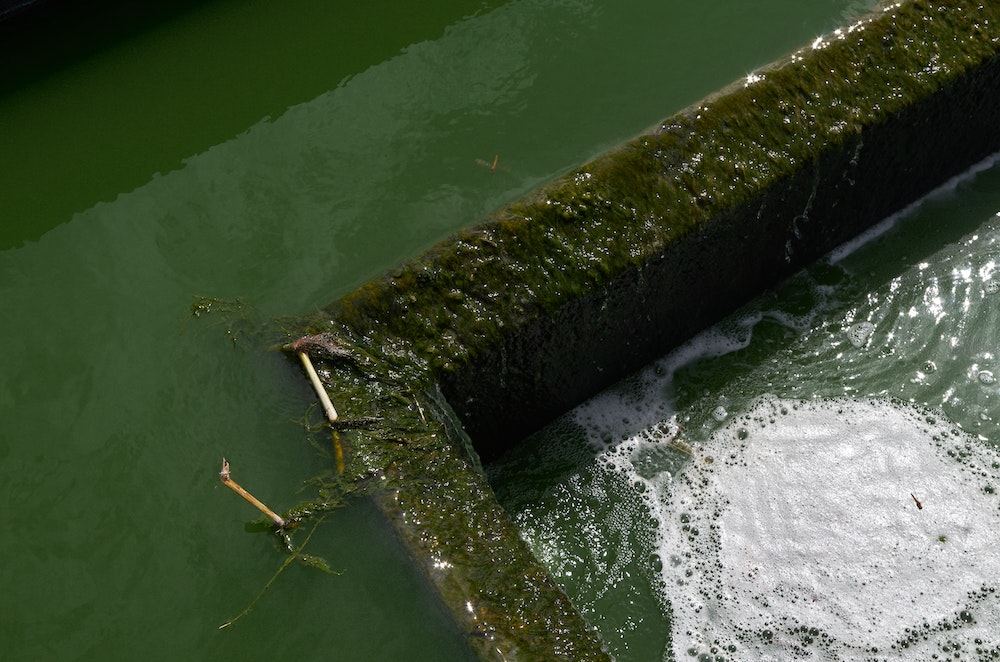 La loi sur l'assainissement des eaux usées domestiques : un enjeu crucial pour la santé publique et l'environnement